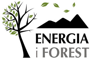 Logo Energia i Forest